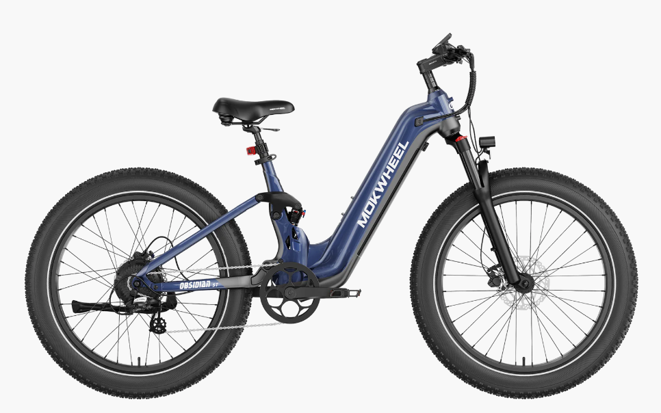 Mokwheel Obsidian ST 2.0