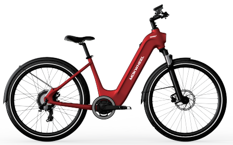 Mokwheel E-Bike - Tarmac ST