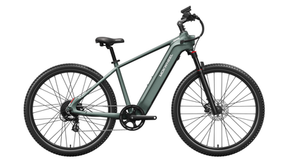 Mokwheel E-bike - Tarmac